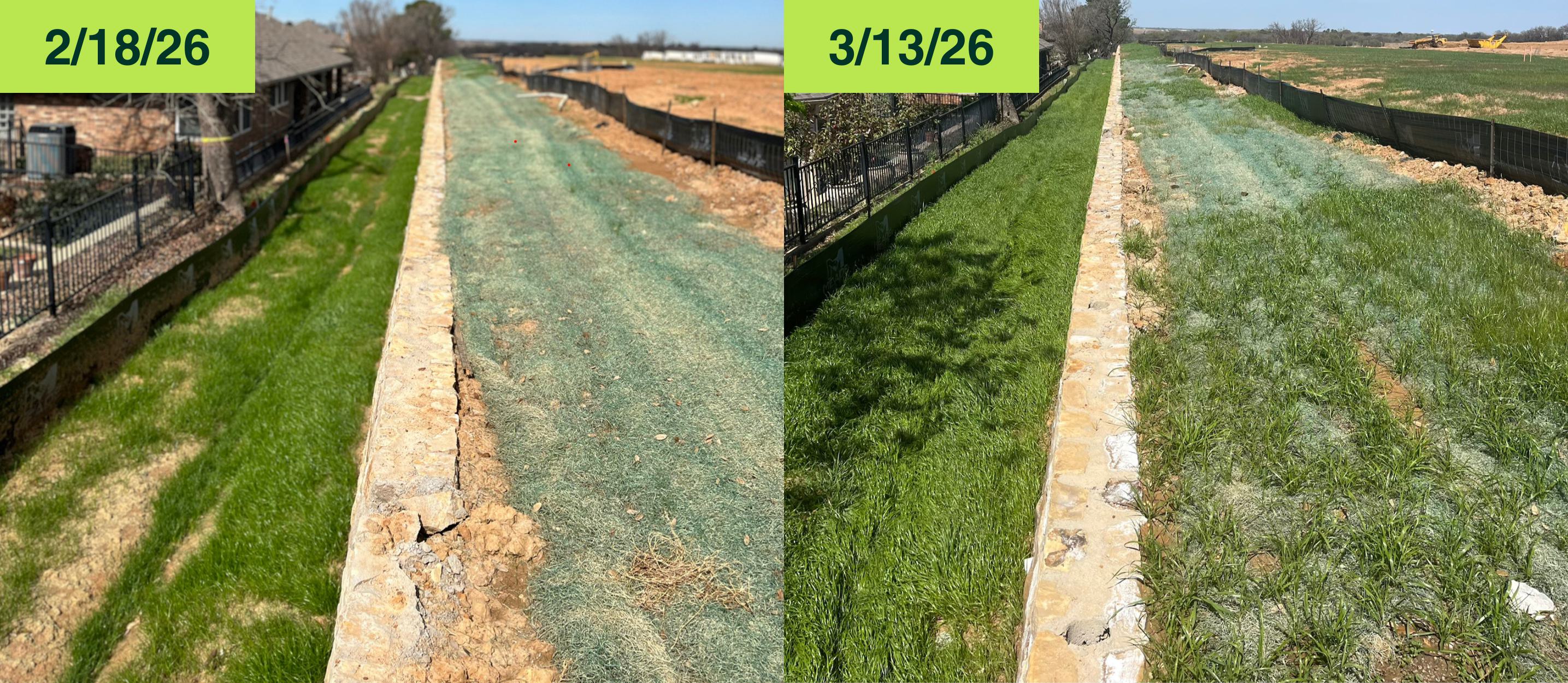 Guaranteed Hydromulch-Flexterra and Curlex phase 2
